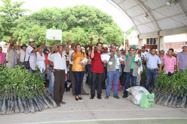 Galeria Proyectos Citricola