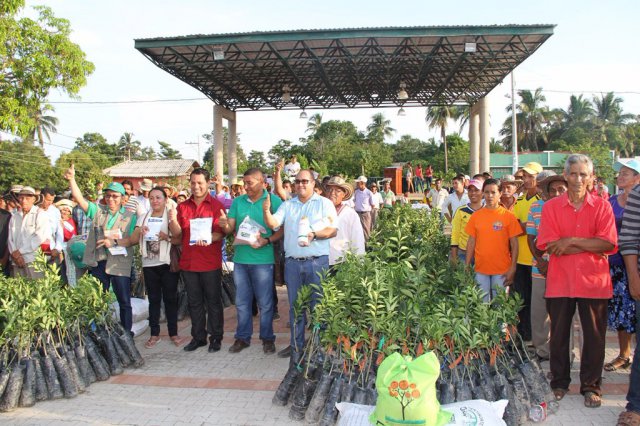 Galeria Proyectos Citricola