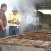 Galería Proyecto Trapiches Paneleros  